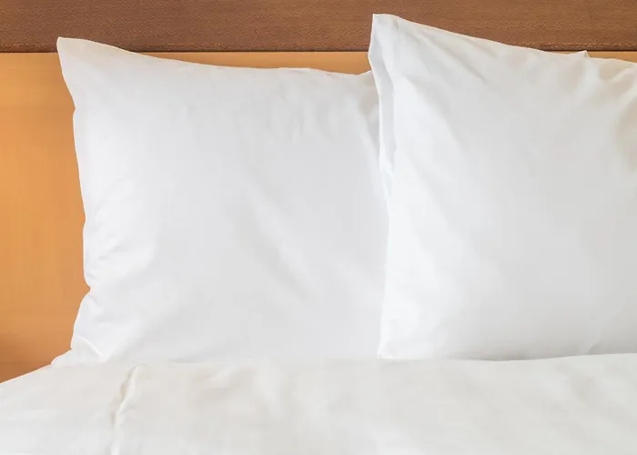 Best Hotels Near I-95 in Richmond, Virginia