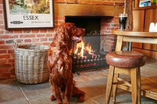 Galvin Green Man near Chelmsford Essex